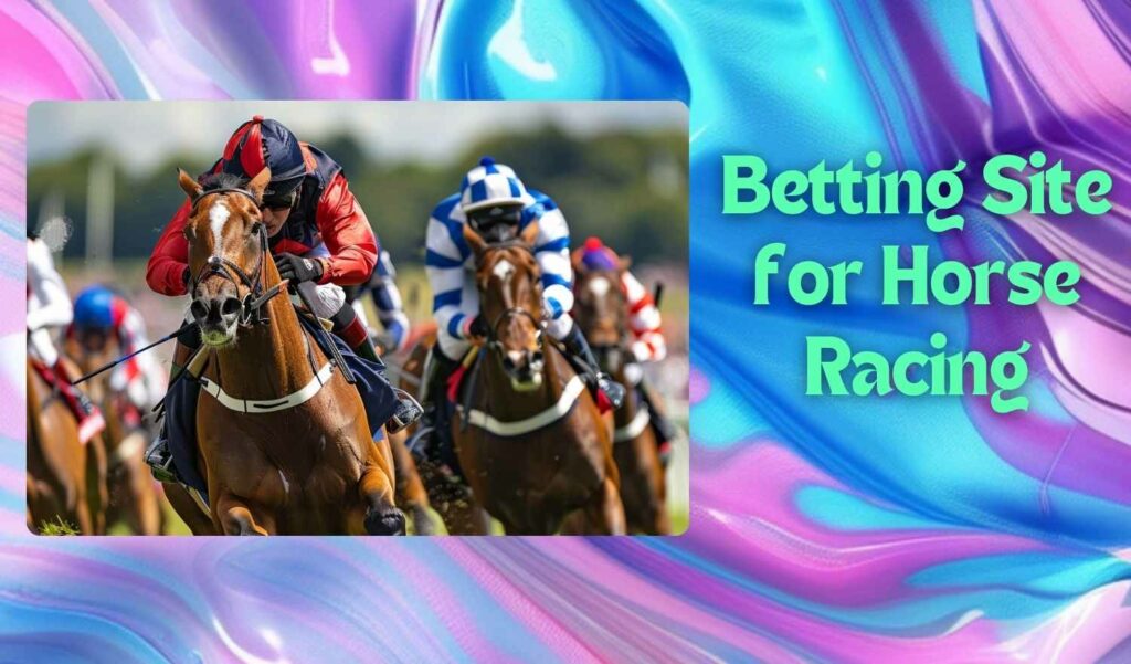 Betting Website for Horse Racing overview