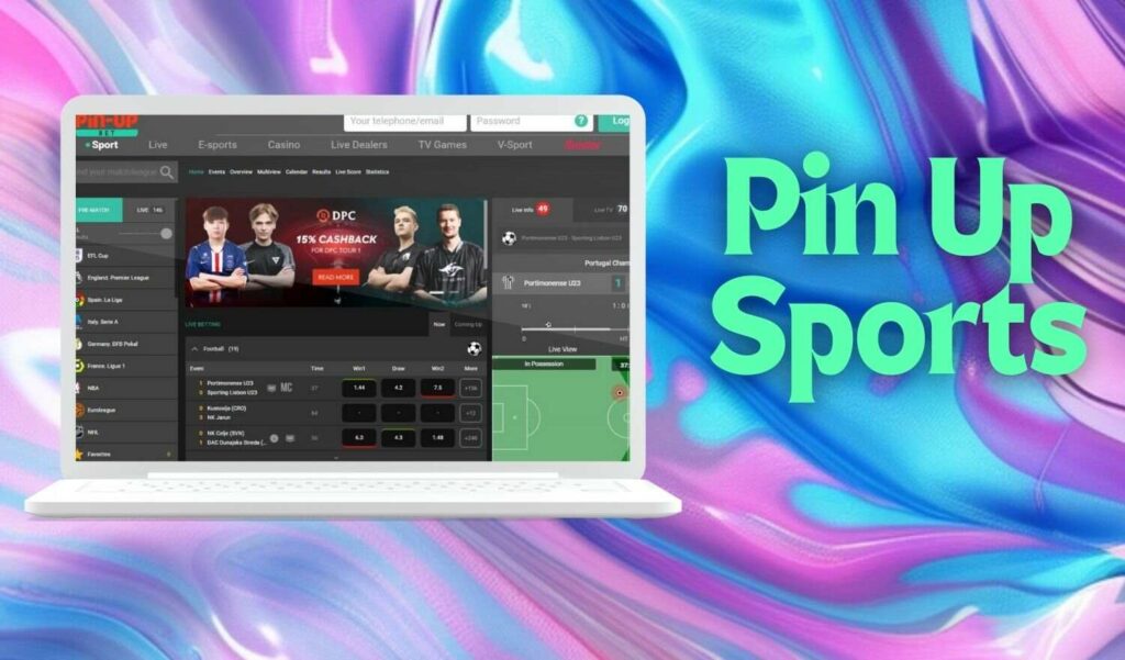 Pin Up Sports betting website in India instruction